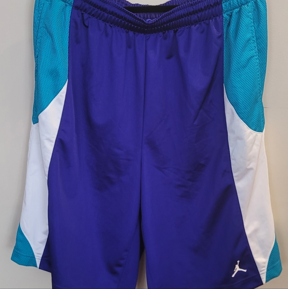 Air Jordan Aqua - Purple and Teal Athletic Shorts